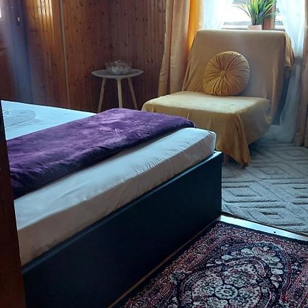 Διαμερισμα Χωρητικοτητασ Μεχρι 4 Ατομων Κεντρικα! Metsovo Exterior foto